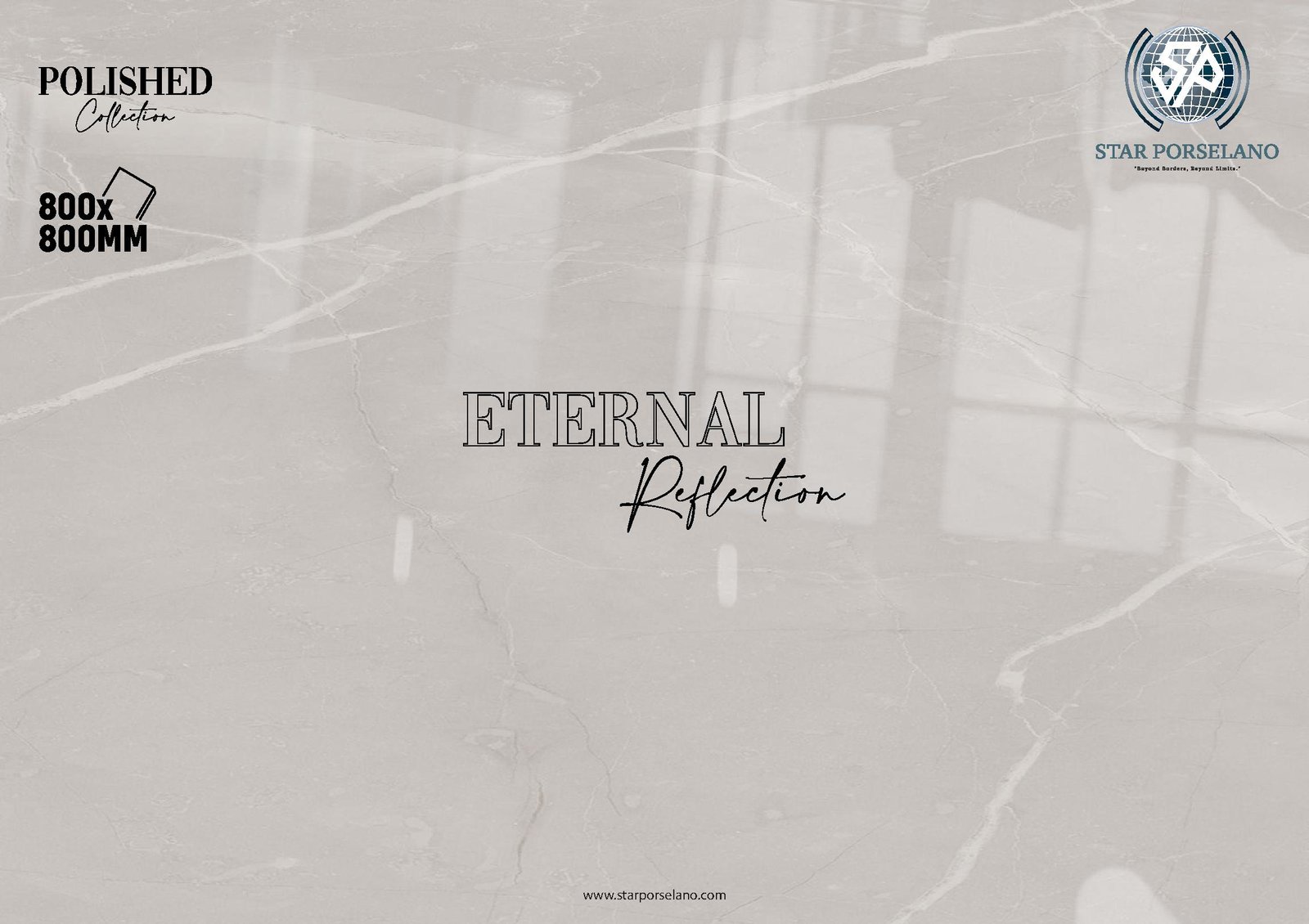 Polished 800 x 800 Polished